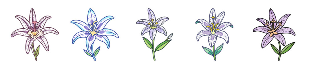 toad lily flower icon, toad lily flower line art - simple line art of toad lily flower, perfect for toad lily flower logos and icons