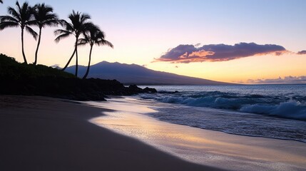 Tropical beach sunset palm trees ocean waves sand