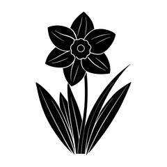 Daffodil Silhouette vector illustration