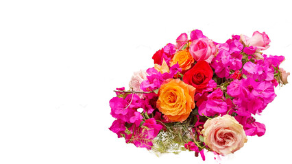 Fototapeta premium flowers roses many for background festival
