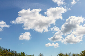 Obraz premium Blue sky with fluffy white clouds