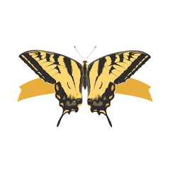 Swallowtail butterfly rests displaying wings isolated illustration