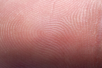 Fototapeta premium Close-up macro fingerprint,Fingerprint - extremely close up micro-photography