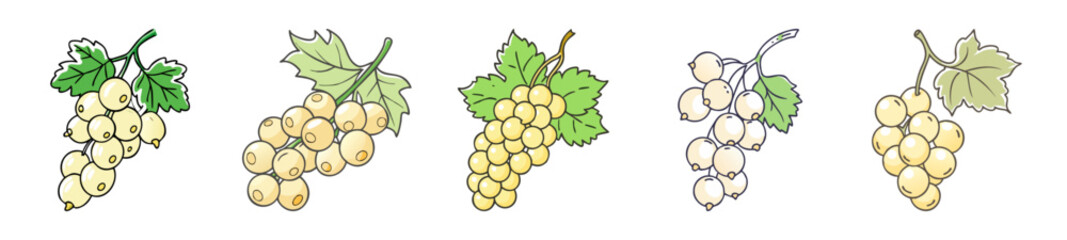 whitecurrant icon, whitecurrant line art