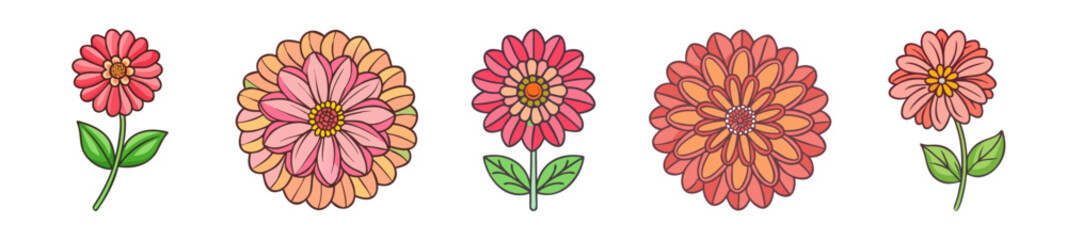 zinnia flower icon, zinnia flower line art