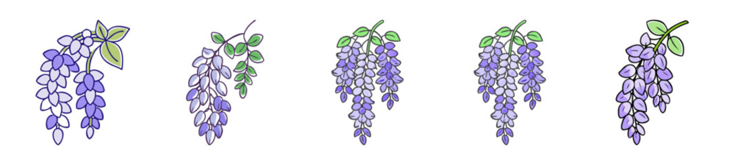 wisteria flower icon, wisteria flower line art