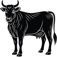silhouette of angus cow with broad muscular features