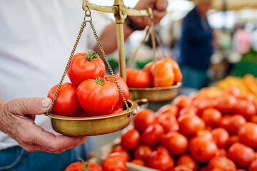 elderly farmer carefully selecting ripe tomatoes on antique brass scale at outdoor market