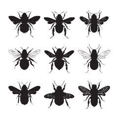 bee silhouette set, Black & White silhouette set