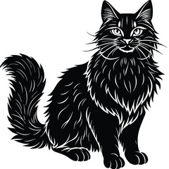 silhouette of maine coon cat with large bushy tail