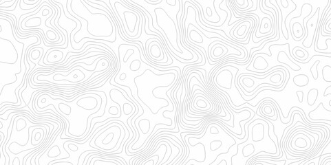 Abstract minimal The patter discovery vector topo map creative discovery White wave grid stripe line map topography. vector geographic contour mounted map background.	