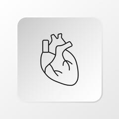 Human Heart Icon