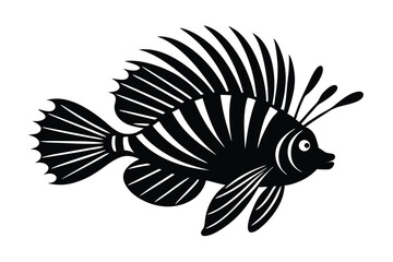 fish on a white background