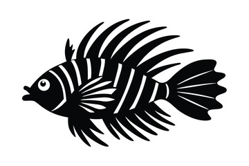 fish on a white background