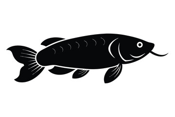 Fototapeta premium fish on a white background