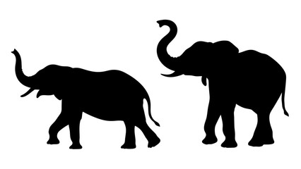 Silhouette Of Elephant Family in Harmony