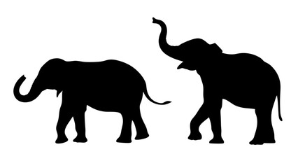 Silhouette Of Elephant Family in Harmony