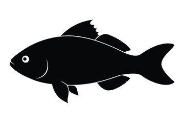 fish vector illustration