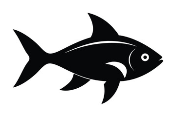 vector illustration of a shark