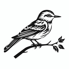 Bird illustration vector art bird on branch black and white bird drawing bird design nature bird art vector silhouette