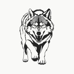 Wolf animal canine wild predator mammal nature wildlife forest dog pack gray vector illustration drawing silhouette