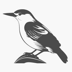 Bird nuthatch avian wildlife ornithology perched branch nature animal feather illustration art drawing silhouette