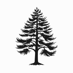 Isolated evergreen tree silhouette vector illustration nature forest botanical element design christmas tree art