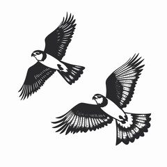 Fototapeta premium Two flying birds illustration black and white bird art avian artwork nature drawing animal sketch minimalist design