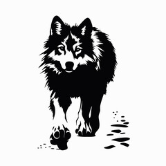 Fototapeta premium Wolf black and white animal canine mammal predator wildlife nature silhouette art design vector print wild