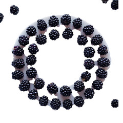 Fresh blackberries arranged in a circle on a white swirl with black background