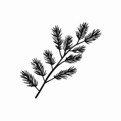 Evergreen branch tree fir pine christmas botanical forest nature plant foliage needle isolated black white art