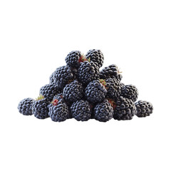 Freshly harvested pile of ripe blackberries isolated on a white background with texture