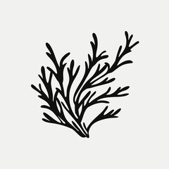 Fototapeta premium Black seaweed kelp algae marine plant ocean botanical vector illustration silhouette graphic design art