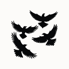 Eagle Vector Silhouettes Set on White Background