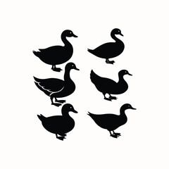 Seagull Flying Silhouette Vector Set on White Background