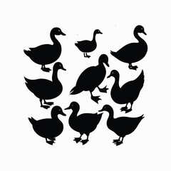 Vector Sport Equipment Set on White Background