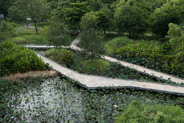 Benjakitti Forest Park, is a new landmark in Bangkok, Thailand