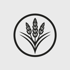 Fototapeta premium Wheat grain agriculture farm harvest field barley rye oat rice plant food nature crop symbol logo design