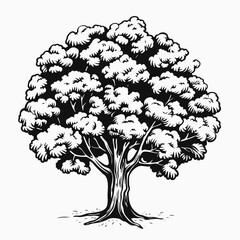 Tree drawing vector illustration nature forest plant wood sketch design graphic art black and white outline foliage