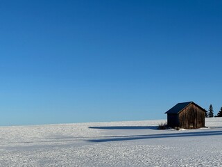 A rustic wooden barn stands alone in a snow covered field under a vast, clear blue sky in north Sweden.