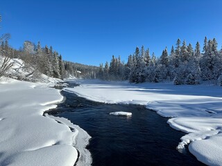 Winter scene showcases a river flowing through a snowy landscape under a blue sky in north Sweden.