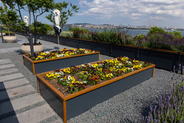 Organic Agriculture, flowers are grown on the building terrace