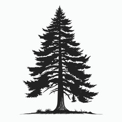 Tree silhouette evergreen pine forest nature woodland landscape conifer botanical christmas black white art