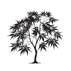 Obraz premium Black tropical palm tree silhouettes with leaf and branch patterns for summer nature designs