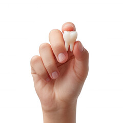 A close-up of a hand holding a lost baby tooth, symbolizing childhood and the transition from baby teeth to adult teeth against a white background.