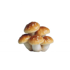 Fresh and delicious mushrooms stacked together on a white background, perfect for culinary and health-themed projects.