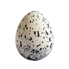 Speckled Bird Egg Closeup isolated on transparent background