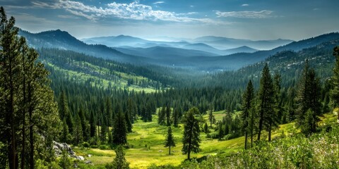 Fototapeta premium Lush Green Valley and Forest Landscape Under a Bright Cloudy Sky