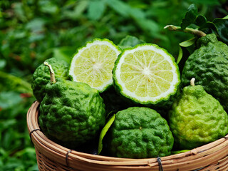 Fresh bergamot in the wooden basket