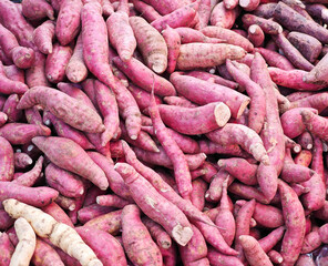Sweet potatoes in the fresh market